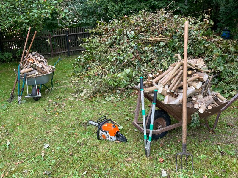 Clearing Debris After Tree Fall