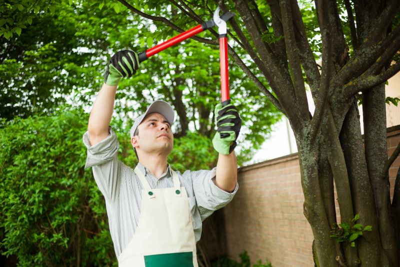 Arborist with Pruning Shears