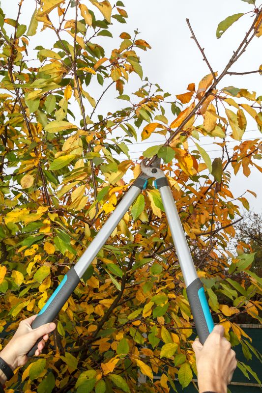 Tree Pruning Equipment