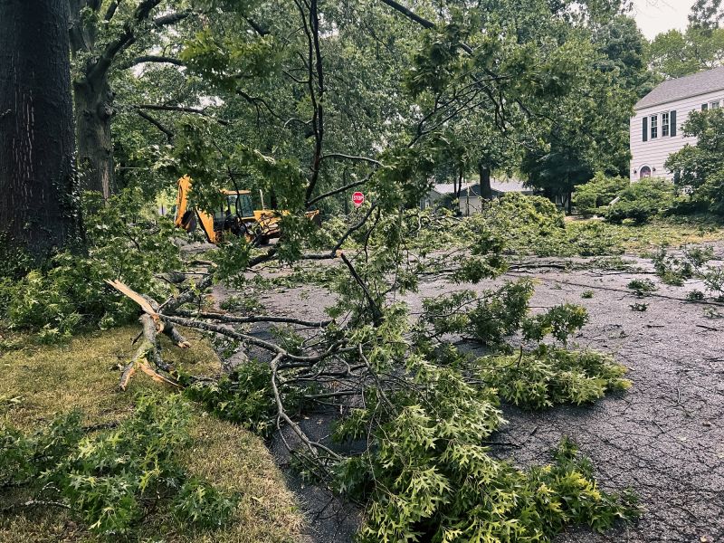 Storm Damage Tree Care